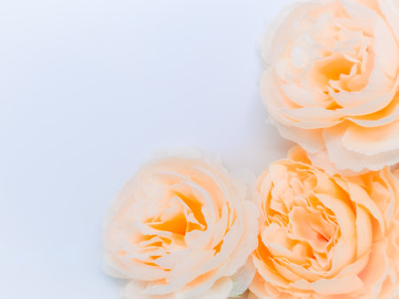 Beautiful abstract gray and yellow flowers on white background, gold flower frame and brown leaves texture, brown background, orange and gold love banner, brown and yellow backgroundの写真素材