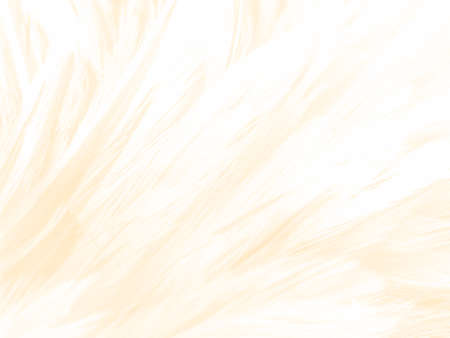 Beautiful abstract white and brown feathers on white background and soft yellow feather texture on white pattern and yellow background, feather background, gold feathers banners, brown textureの写真素材