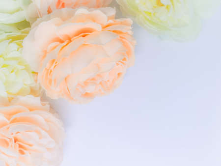Beautiful abstract gray and yellow flowers on white background, green flower frame and brown leaves texture, brown background, orange and gold love banner, yellow backgroundの写真素材