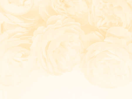 Beautiful abstract gray and yellow flowers on white background, gold flower frame and brown leaves texture, brown background, orange and gold love banner, brown and yellow backgroundの写真素材