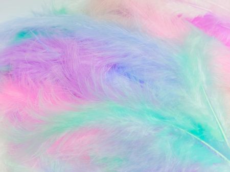 Beautiful abstract light pink feathers on colorful background, colorful feather frame on green purple and blue texture pattern, pink background, love theme wallpaper, valentines day, white gradientの写真素材