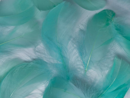 Beautiful abstract green feathers on white background, yellow feather texture on dark pattern,  green background, feather wallpaper, love theme, valentines day, green gradient textureの写真素材