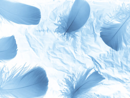 Beautiful abstract blue feathers on white background, white feather texture and blue background, feather wallpaper, blue texture banners, love theme, valentines day, light blue texture, white gradientの写真素材