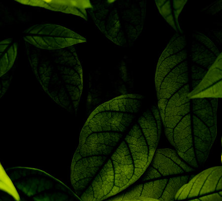 Beautiful abstract green flowers on dark background and yellow flower frame and green leaves texture, green background, dark theme, green leaves textureの写真素材