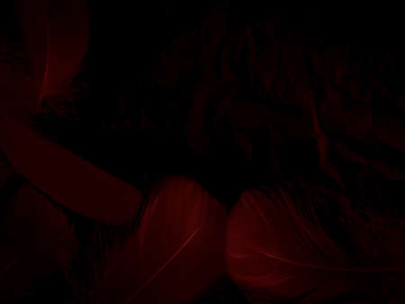 Beautiful abstract red feathers on black background, yellow feather texture on colorful pattern and red background, orange feather wallpaper, love theme, wedding valentines day, red gradientの写真素材