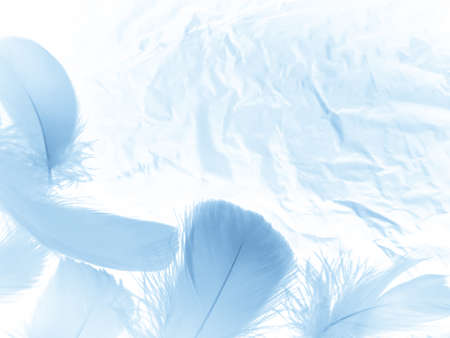 Beautiful abstract blue feathers on white background, white feather texture and blue background, feather wallpaper, blue texture banners, love theme, valentines day , gray gradientの写真素材