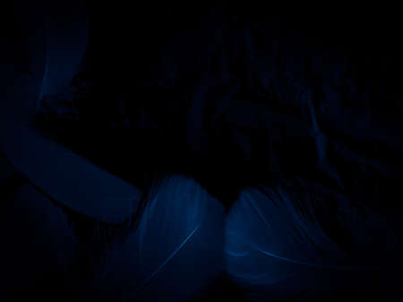 Beautiful abstract blue feathers on black background, white feather texture and blue background, feather wallpaper, blue texture banners, love theme, valentines day , gray gradientの写真素材