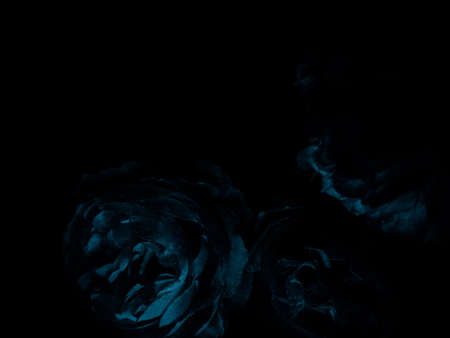 Beautiful abstract black blue flowers on black background, light purple flower frame,  blue leaves texture, dark background, flowers for Christmas and valentines day, love theme blue leaves textureの写真素材