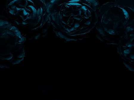 Beautiful abstract black blue flowers on black background, light purple flower frame,  blue leaves texture, dark background, flowers for Christmas and valentines day, love theme blue leaves textureの写真素材