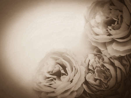 Beautiful abstract black yellow flowers on black background, gold flower frame,brown leaves texture, dark background, orange love banner, brown yellow background, flowers for Christmas and valentinesの写真素材