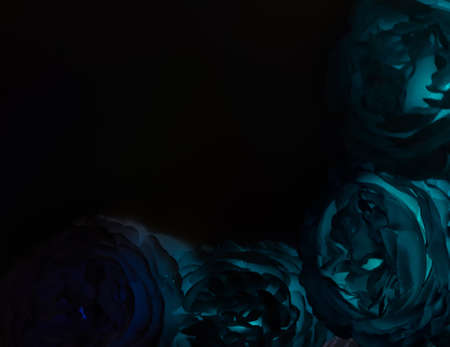 Beautiful dark blue roses on black background, closeup. Space for textの写真素材