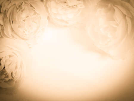 sweet color roses in soft color and blur style on mulberry paper texture for backgroundの写真素材