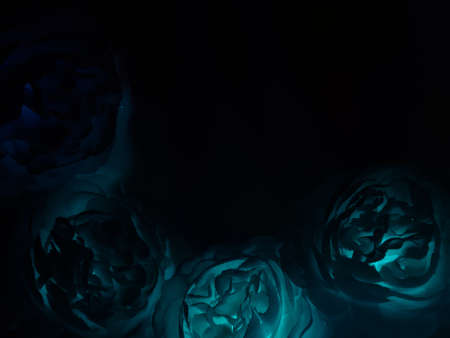 Beautiful abstract color black and blue flowers on black background and blue flower frame and blue leaves texture, dark background, blue graphics bannerの写真素材