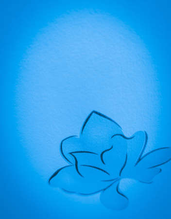 Beautiful abstract black blue flowers on white background, light purple flower frame,  blue leaves texture, dark background, flowers for Christmas and valentines day, love theme blの写真素材