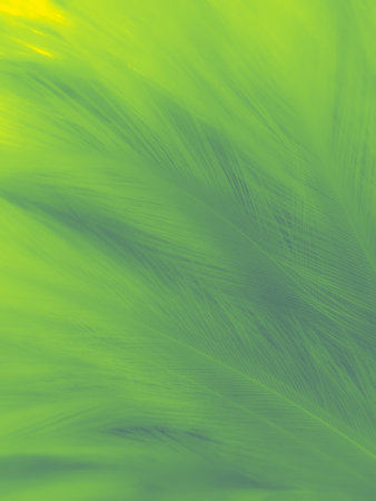 abstract green background with some soft shades and highlights on it and a feather textureの写真素材