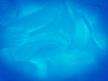 Beautiful abstract blue feathers on white background and soft white feather texture on blue pattern and blue background, feather background, blue bannersの写真素材
