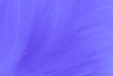 beautiful abstract blue feathers texture background for graphic design and web designの写真素材