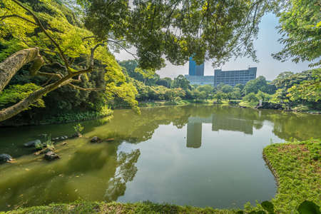 Tokyo, Bunkyo Ward - August 04, 2018 : Late summer scene and Water reflections at Daisen-sui great pond of Koishikawa Korakuen Gardenのeditorial素材