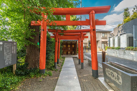 Tokyo, Japan - August 03, 2018 : Red Torii gates at Shusse Inari Jinja, Shinto Shrine located in the precincts of Akagi Jinja srine in Kagurazaka in Akagi -Motomachi district, Shinjuku Ward.のeditorial素材