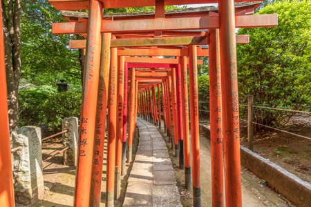 Tokyo, Bunkyo Ward - August 6, 2018 : Red Torii tunnel path at Nezu Jinja Shinto Shrine. Japan's Important Cultural Propertyのeditorial素材