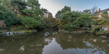 Momiji Maple tree (ç´…è‘‰) Autumn colors, Fall foliage pond reflections at Maruyama park...
