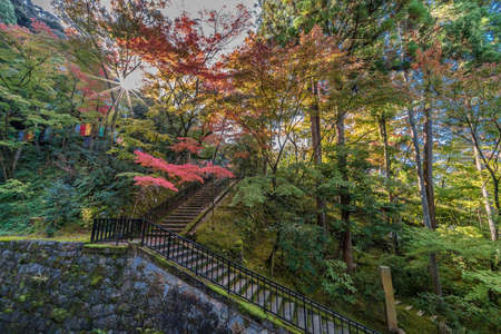 Kyoto, Japan - November, 2017 : Shojuraigousan Muryojuin Zenrin-ji Eikan-do temple. Autumn colors,...
