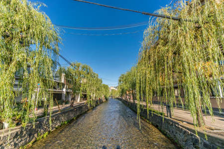 Kyoto, Japan - November 10, 2017 : willow trees(Salix) along Shirakawa river and Ippon bridge (ipponbashi). A narrow stone bridge near Chion-in Temple over the Shrikawa River. The bridge has no handrailsのeditorial素材