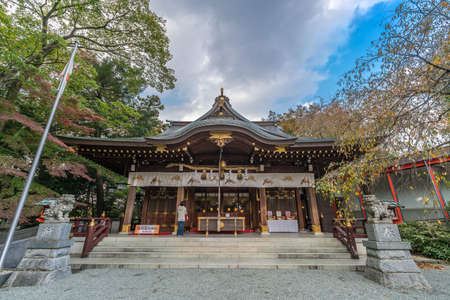 Zama city, Kanagawa Prefecture, Japan - Nobember 15, 2017 :  Unidentified person praying in front of Main Hall of Suzukamyo Jinja Shinto shrine  and Komainu (Lion-Dog) Guardian.のeditorial素材