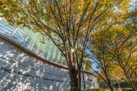Tokyo, Minato ward - Nobember 17, 2017 : Autumn scene at Tokyo National Art Center. Located in Roppongi, Minato Ward, Tokyo, Japanのeditorial素材
