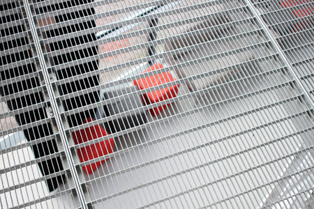 Industrial metal floor grid and joins in nice developed interiorの写真素材
