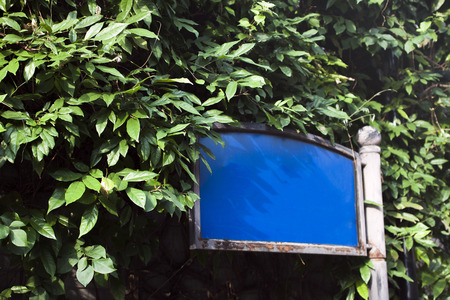 Empty Street Name Sign in Chengdu China in front of Bushes and Plants Trees.