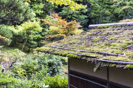 Close-Up View of Thin Layer of Green Moss on the Pitched Roof.の写真素材