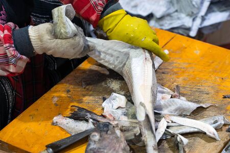 Person Cleaning Peeling Off Fish Skin by Hand in Seafood Market.の写真素材