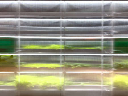 Polycarbonate greenhouse growing plants vegetables inside under artificial light.の写真素材