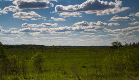Excellent Ukrainian valley in early summer. In the sky - great clouds.の写真素材
