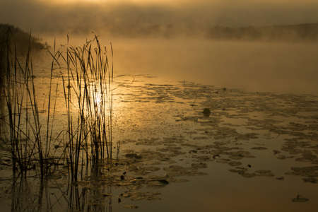 Sunrise mist on the river painted in sepia. River landscape became absolutely fantastic.の写真素材