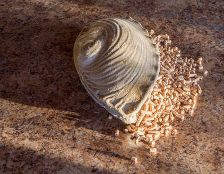 Pellets - the new eco-friendly fuel, made from pine wood shavings. Pellets are more environmentally friendly than coal. Pellets emit only half as much heat Nathon than natural gas per cubic meter.の写真素材