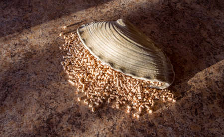 Pellets - the new eco-friendly fuel, made from pine wood shavings. Pellets are more environmentally friendly than coal. Pellets emit only half as much heat Nathon than natural gas per cubic meter.の写真素材