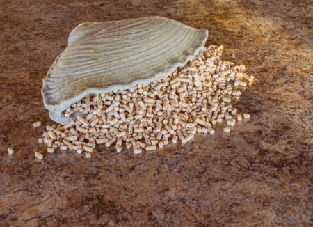 Pellets - the new eco-friendly fuel, made from pine wood shavings. Pellets are more environmentally friendly than coal. Pellets emit only half as much heat Nathon than natural gas per cubic meter.の写真素材
