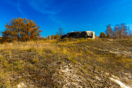 Yellow leaves of trees and beautiful sunshine in October, makes the landscape painted in the color of goldppの写真素材