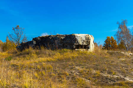 Yellow leaves of trees and beautiful sunshine in October, makes the landscape painted in the color of goldppの写真素材