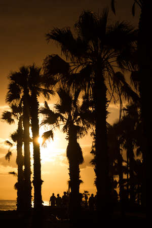 Sunset over the ocean colored sky in sepia. In the foreground - the outlines of palm trees and people. In the background - the clouds and the mountains of the neighboring island.の写真素材