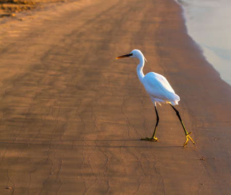 Dawn above the sea always awards the stunning pictureの写真素材