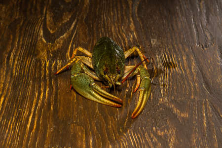 Live crayfish crawling on a wooden board.の写真素材