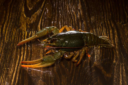 Live crayfish crawling on a wooden board.の写真素材
