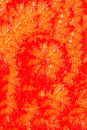 Photo wallpapers on the topic of red citrus and citrus slicesの写真素材