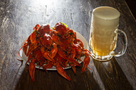 On a white plate there are many large red freshly welded crayfish. Nearby - a full glass of beer with foam. A plate and a glass stand on a wooden surface of dark color.の写真素材