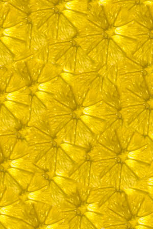 Photo wallpapers on the topic of lemons and lemon slices