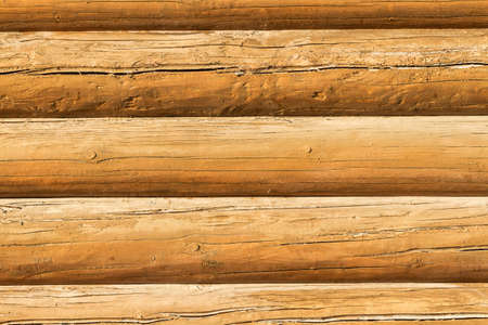 Texture of a wall of wooden round logs, backgroundの写真素材