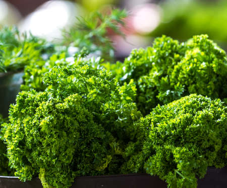 Vegetables and greens on the counter of the central market of the city of Mukacheveの写真素材